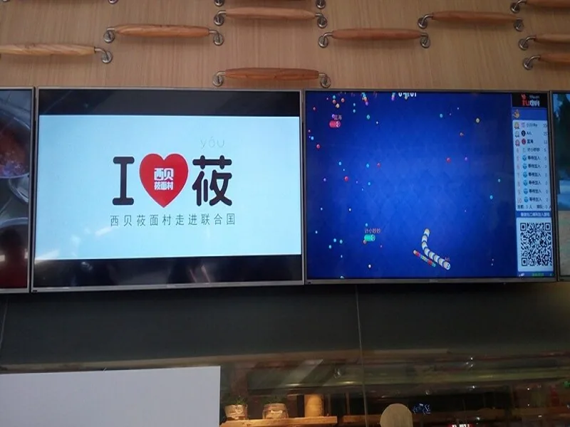 西贝